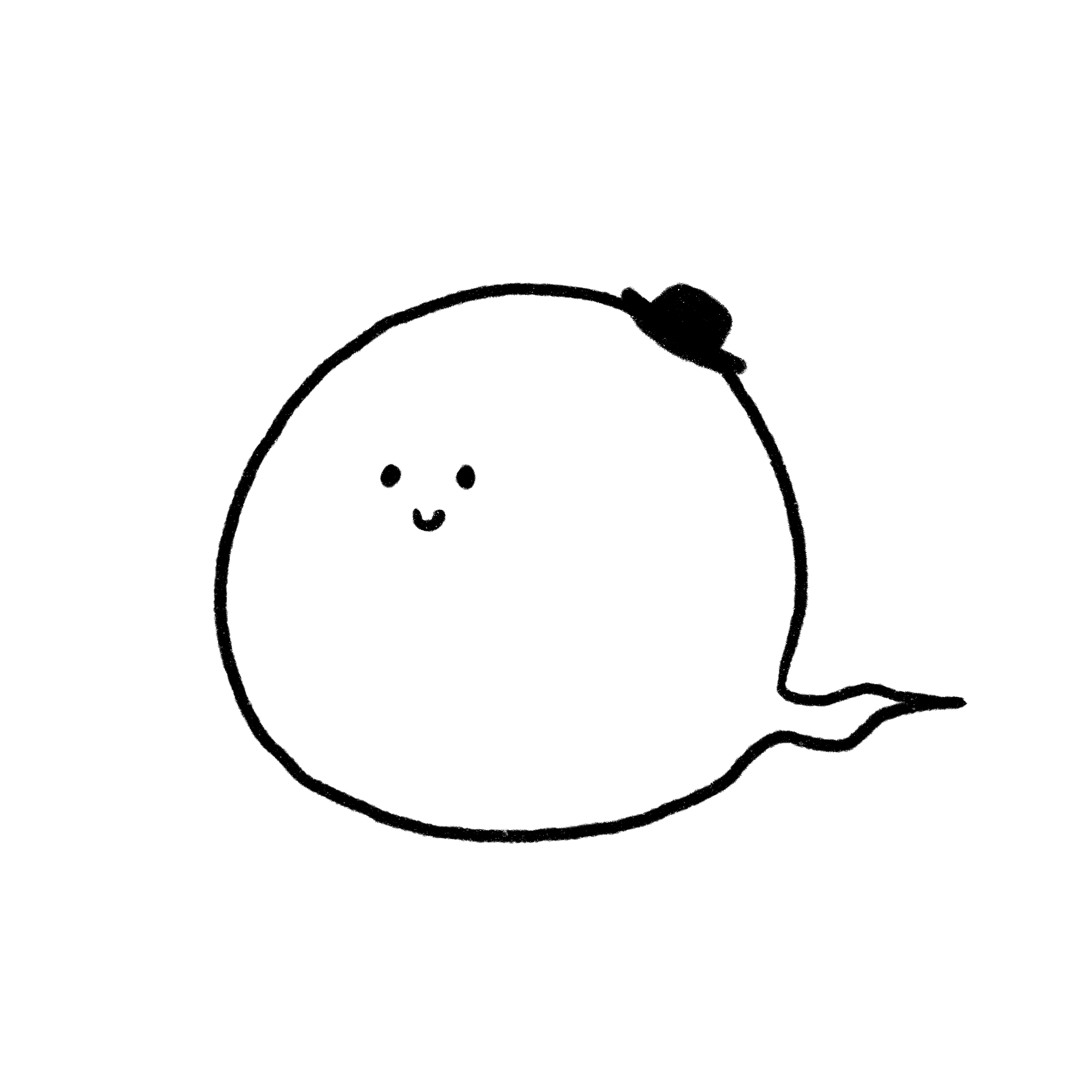 毛兒
